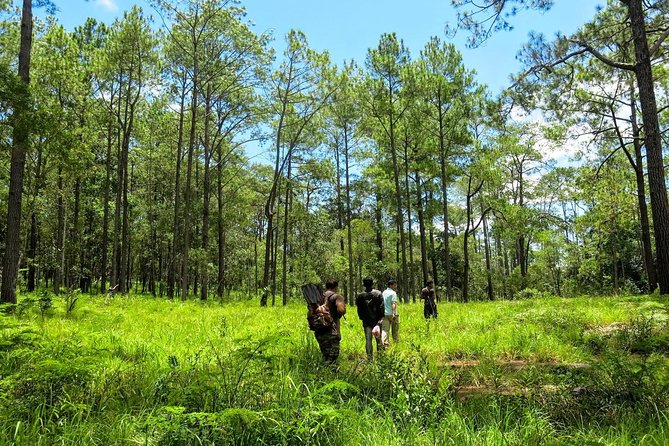 Kirirom National Park Private Day Tour from Phnom Penh - The 30-minute walk to Chambok waterfall
