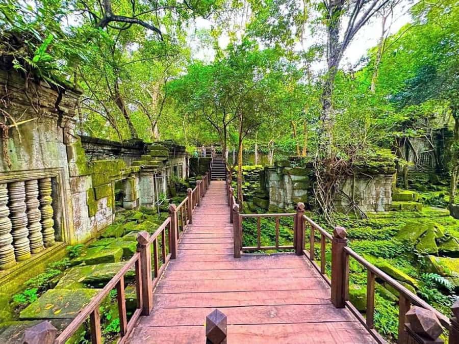 Koh Ker & Beng Mealea Temple Guided Tour - The long road from Siem Reap
