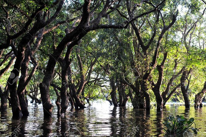 Kompong Phluk Village Tonle Sap Lake Half-Day Tour From Siem Reap - Why Kompong Phluk feels different from Siem Reap