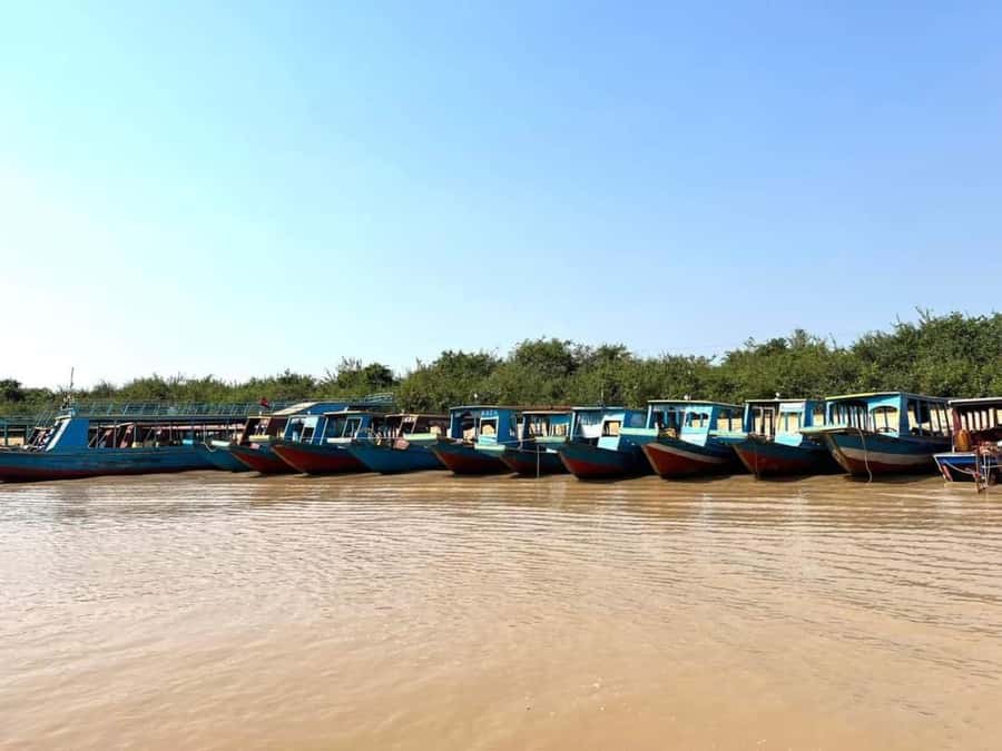 Kompong Pluk Tour - The flooded forest from October through January