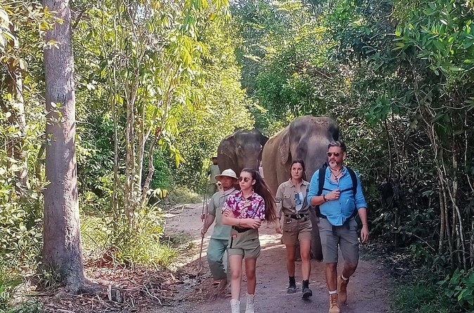Kulen Elephant Forest and Tonle Sap Lake by Private Tour - Is $199 per person good value?