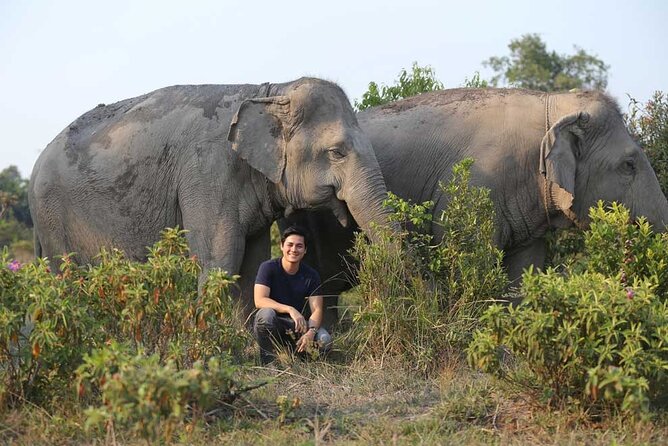 Kulen Elephant Forest & Kampong Phluk by Private Tour - What makes the elephant encounter worth the price