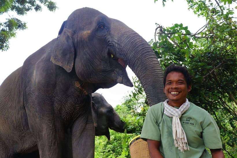 Kulen Elephant Forest Siem Reap in Small Group - The one-hour road to Kulen Elephant Forest