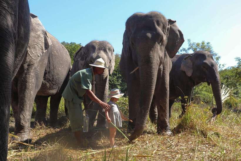 Kulen Elephant Forest Siem Reap in Small Group - Making enrichment and watching play by the pond