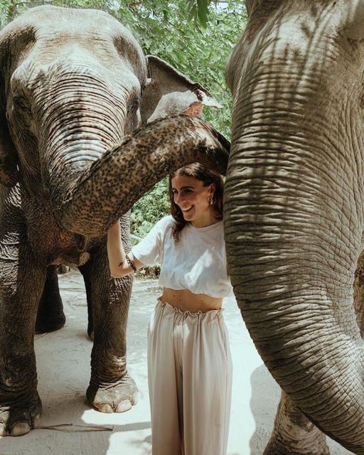 Kulen Elephant Forest Siem Reap in Small Group - Who will enjoy this elephant experience?