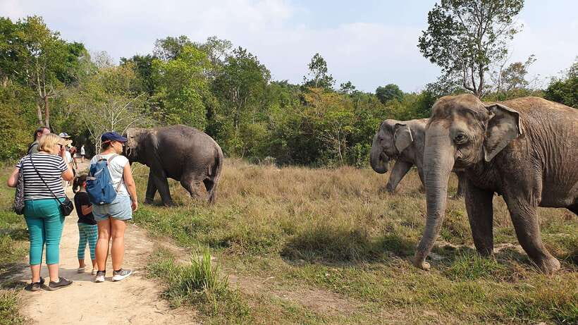 Kulen Elephant Forest & Tonlesap Lake - Key points to know before booking