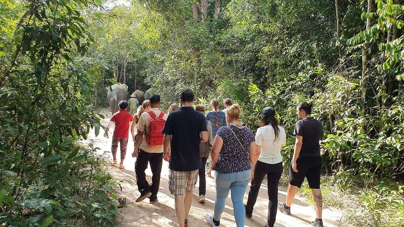 Kulen Elephant Forest & Tonlesap Lake - FAQ