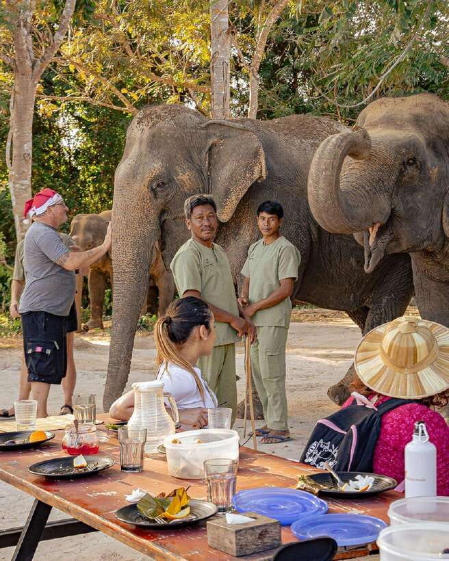 Kulen Elephant Forest & Tonlesap Lake - Why the elephants are the main event