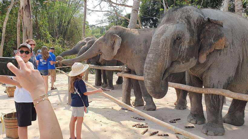 Kulen Elephant Forest & Tonlesap Lake - From the jungle to Tonle Sap’s stilted homes