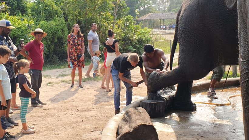 Kulen Elephant Forest & Tonlesap Lake - What the drive adds to the day