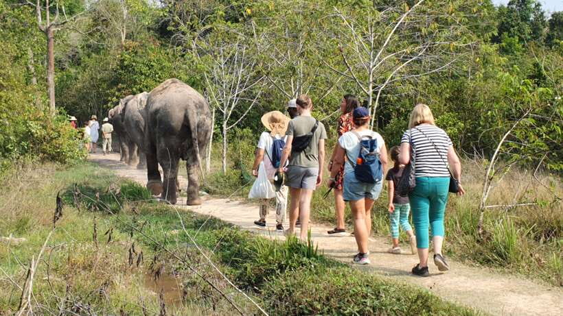 Kulen Elephant Forest & Tonlesap Lake - Who will enjoy this day most