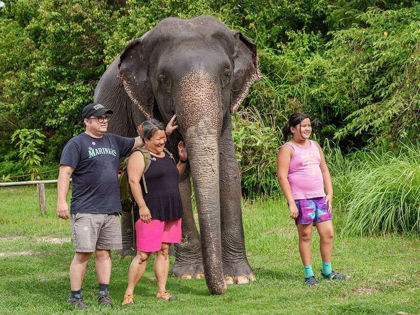 Kulen Elephant Forest Tour with Hotel Pick-up & Drop off - Meeting the Elephants in Kulen Forest
