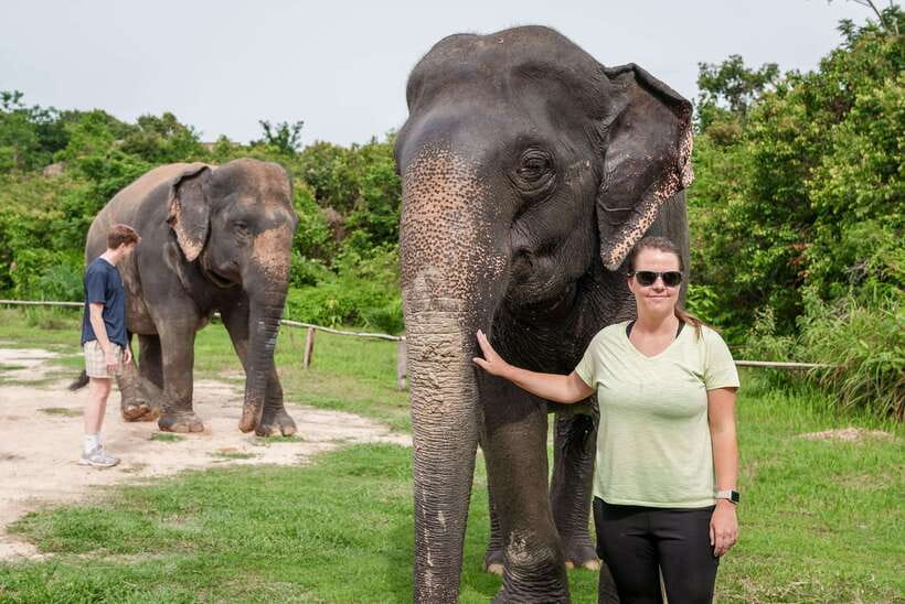 Kulen Elephant Forest Tour with Hotel Pick-up & Drop off - Walking Beside the Herd for Three Hours