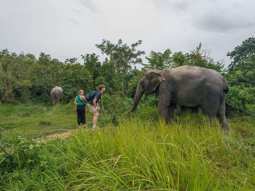 Kulen Elephant Forest Tour with Hotel Pick-up & Drop off - Is the $139 Price Worth It?