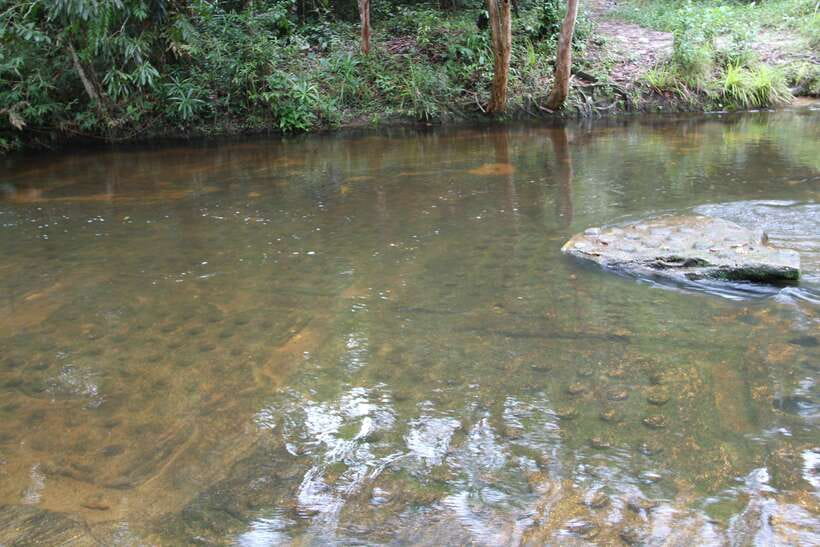 Kulen Mountain: Full-Day Private Waterfall Tour - The hilltop pagoda and reclining Buddha