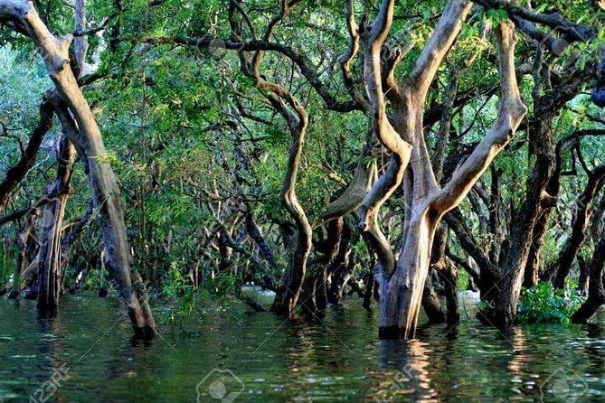Mechrey Floating Village Tour & Mangrove from Siem Reap - What the $45 price really covers