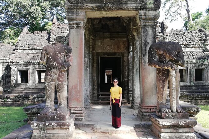 One Day Angkor World Heritage Tour - What the guide adds to the day