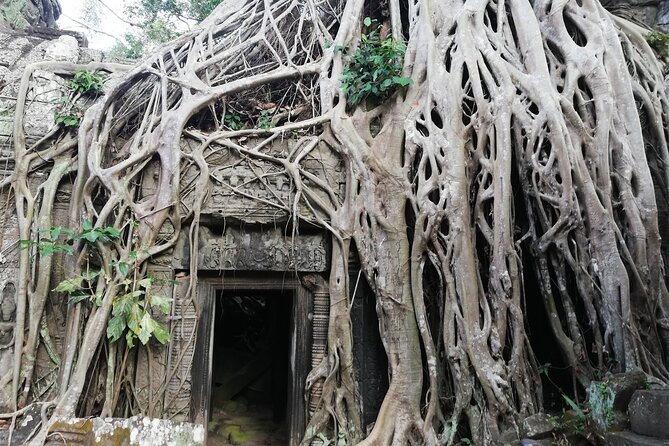 One Day Angkor World Heritage Tour - Who will get the most from this tour