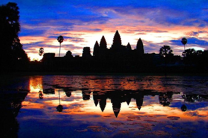One Day tour with sunrise in car with A/C or Van & Guide. - Ta Prohm, trees, and the final major stop