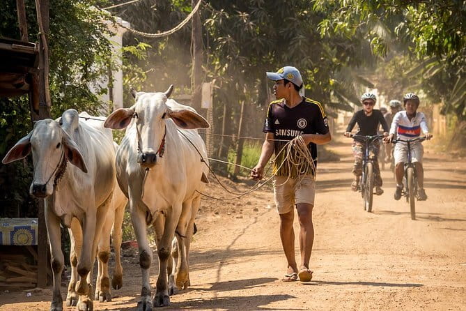 Oudong Temples & Phnom Prasith Private Tour from Phnom Penh - Who should book this Oudong tour?