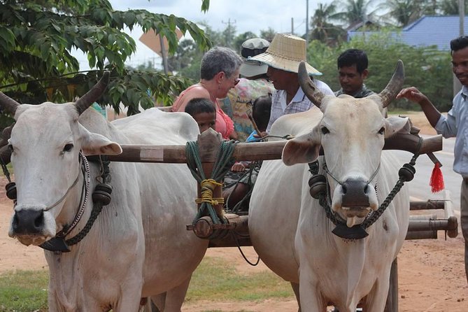 Ox-cart Culture Tour, Countryside Experince in Siem Reap - Leaving Siem Reap for Chreav Village
