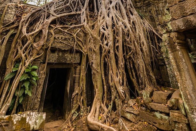 Personalised Angkor Wat Day Tour by an Air-conditioned Car - Angkor Wat gives you the grand opening