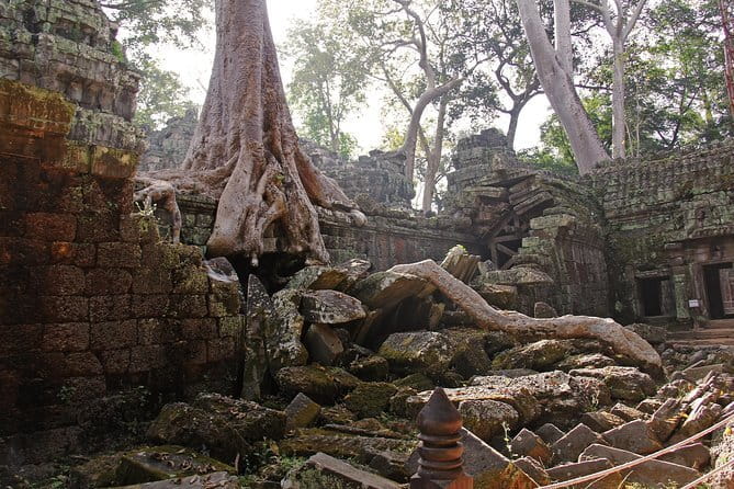 Personalised Angkor Wat Sunrise Off-the-Beaten Track Tour - Angkor Thom and the South Gate in 20 minutes