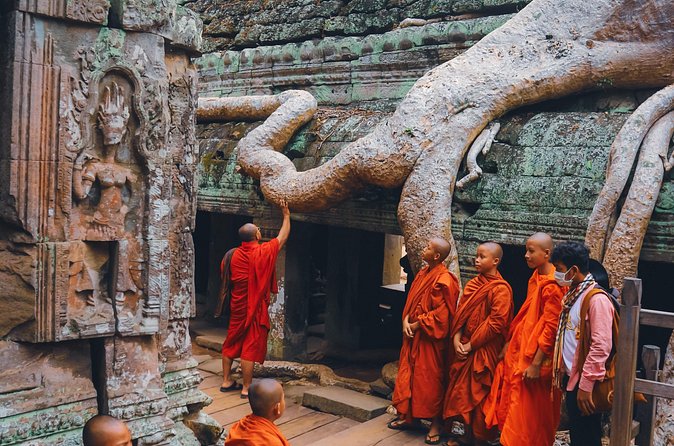 Personalised Angkor Wat Sunrise Tour by TukTuk - Ta Prohm supplies the dramatic final stop