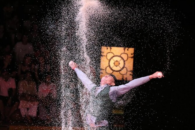 Phare: The Cambodian Circus Show in Siem Reap - Timing, arrival, and the late-entry rule