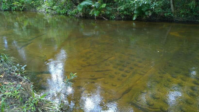 Phnom Kulen National Park Admission Ticket - Timing, delivery, and a few rules to remember