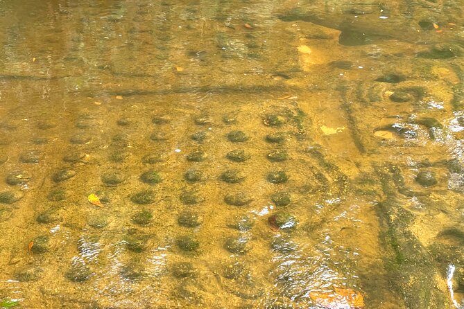Phnom Kulen Waterfall and Banteay Srei Temple Tour from Siem Reap - Banteay Srei and its pink sandstone detail