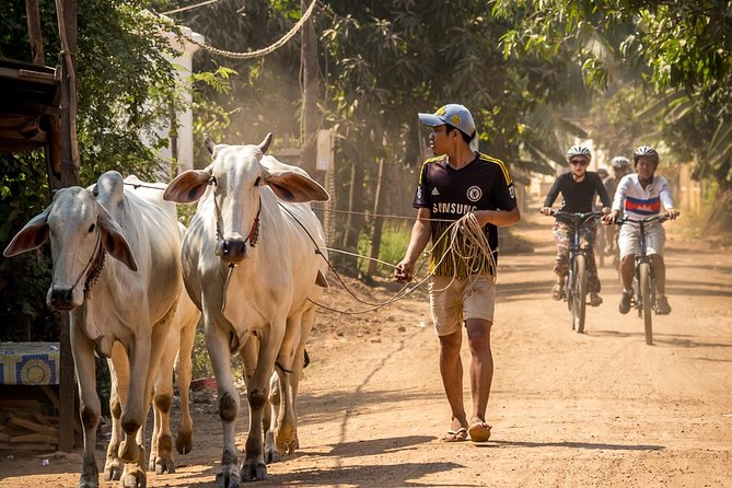 Phnom Penh: Cycling Adventure on Islands of the Mekong - The 20 to 25 kilometer ride through villages and fields