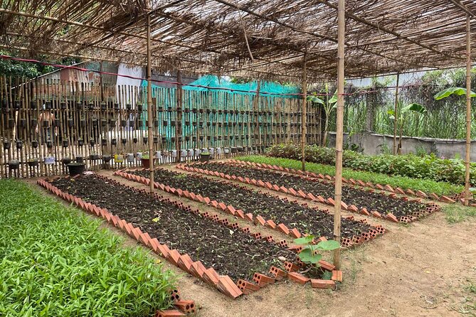 Phnom Penh’s Hands-On Khmer Cooking Class in the Countryside - The return journey and optional homestay
