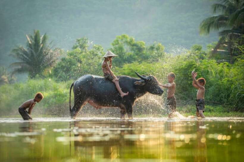 Phnom Penh to Siem Reap cruise/land tour (one way) - The four-hour road journey to Siem Reap