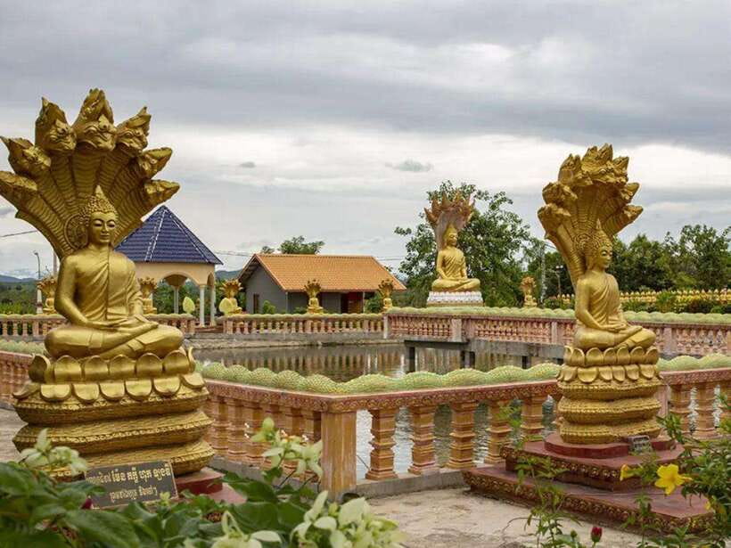 Phnom Tamao Wildlife Center & Buddha Kiri Cambodia Day Tour - What the private setup adds for $45