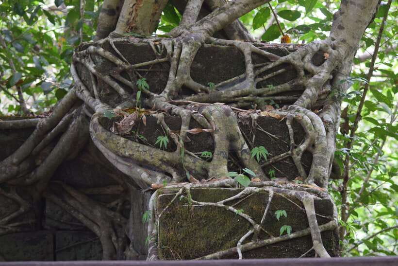 Prasat Thom, Koh Ker Group & Beng Mealea Full-Day Tour - Who should book this day?