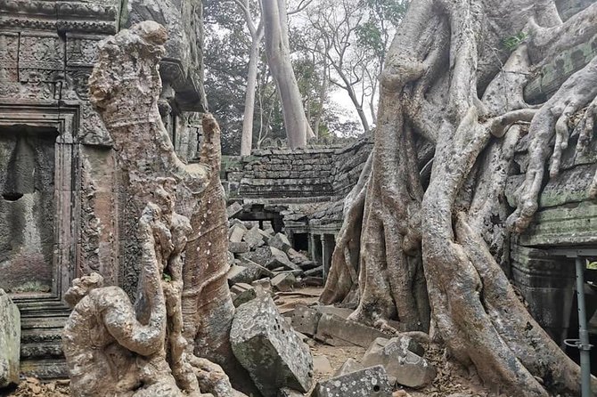 Preah Khan, Ta Prohm, Bayon Off Beaten Track - Starting at 9 a.m. in Siem Reap