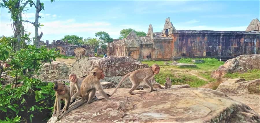 Preah Vihear Temple Koh Ker & BengMealea Tour from Siem Reap - The driver makes a real difference