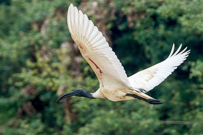 Prek Toal Birds Sanctuary and floating Village Private Day Tour - Watching life unfold on Tonle Sap