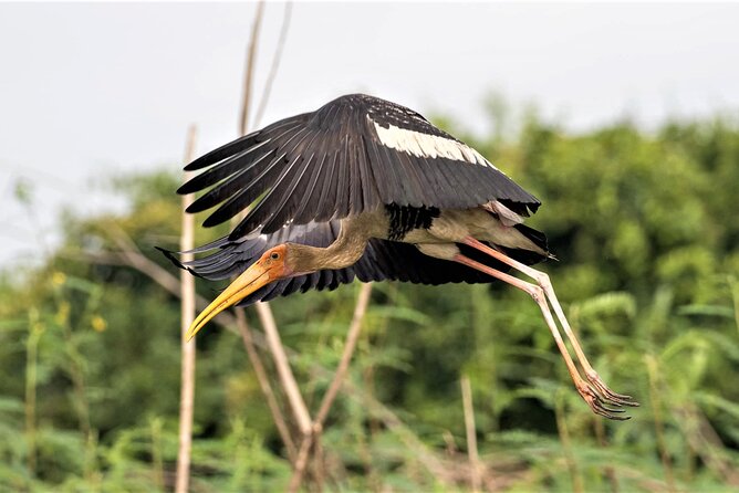 Prek Toal Birds Sanctuary and floating Village Private Day Tour - The Prek Toal floating village