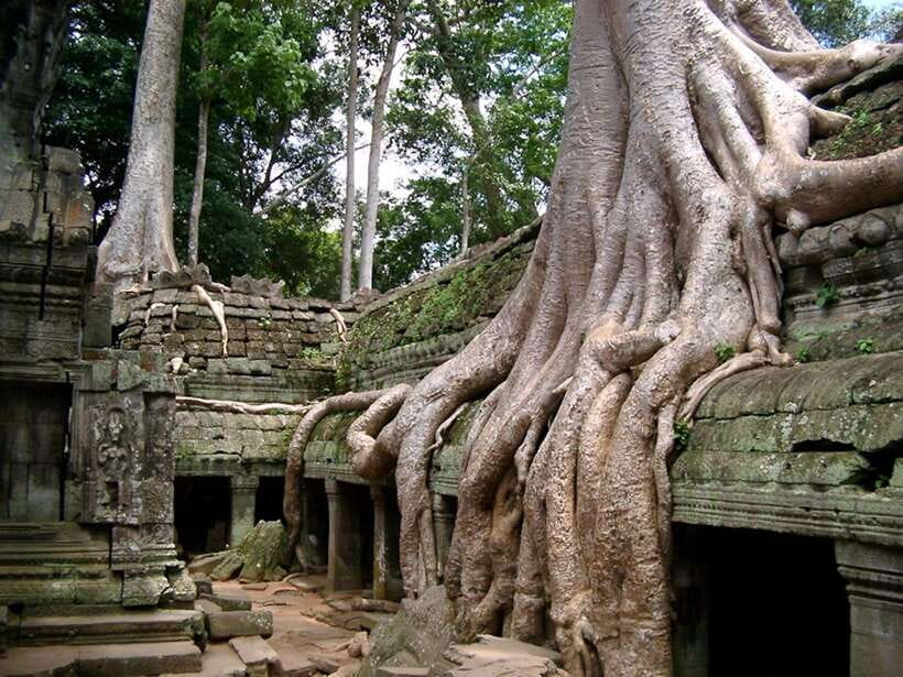 Private Angkor Sunrise, Guide Breakfast and Tuktuk included - Bayon and the center of Angkor Thom