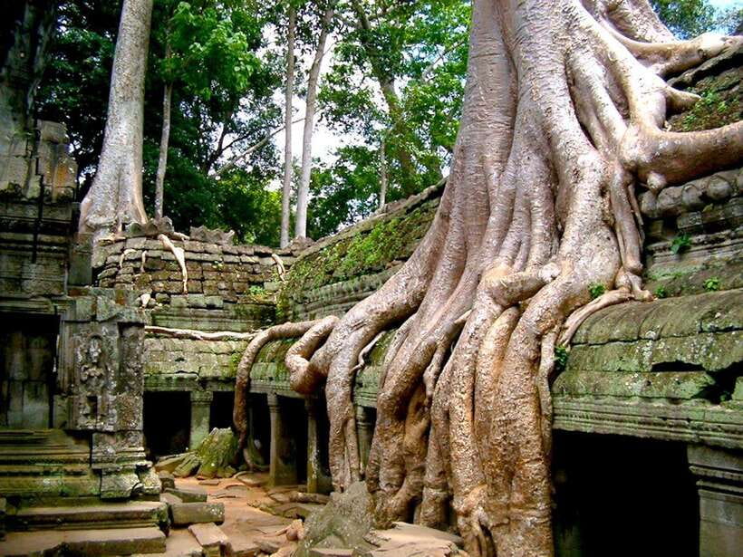 Private Angkor Sunrise, Guide Breakfast and Tuktuk included - The guide question: a real point to weigh