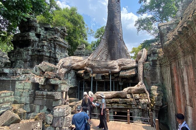Private Angkor Wat and Lost Temple Jungle Tour - Ta Prohm: roots, ruins, and the Tomb Raider connection