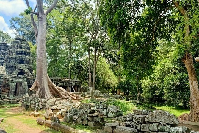 Private Angkor Wat Guided Sunset Tour - Ta Prohm brings stone and trees together