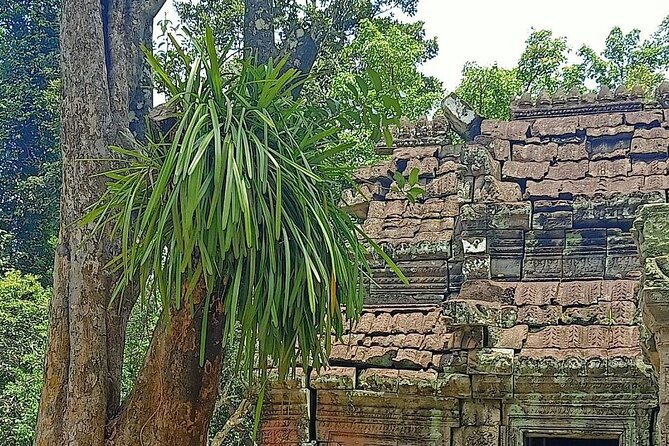 Private Angkor Wat Guided Sunset Tour - Private transport makes the eight-hour day easier