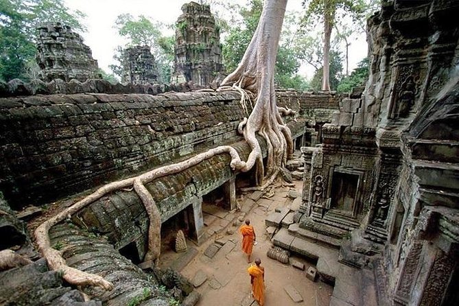 Private Angkor Wat Sunrise Tour - Ta Prohm and the atmosphere of decay