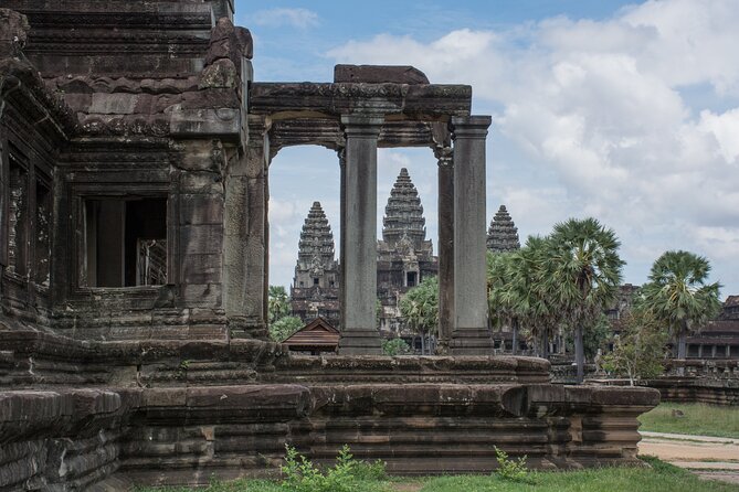 Private Angkor Wat Temple Tour - Ta Prohm, the tree-covered temple