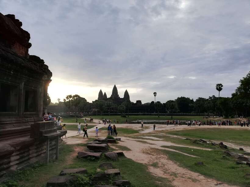 Private Angkor Wat Temple Tour - Ta Prohm and the trees at the ruins