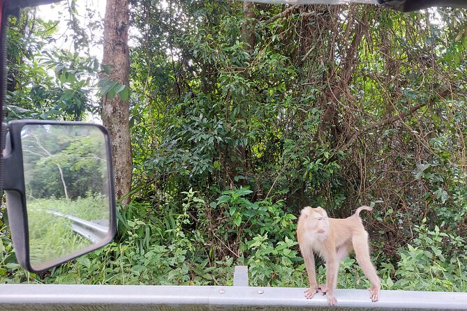 Private Bokor tours by Rickshaw/SUV Car - Popokvil Waterfall to finish the mountain day