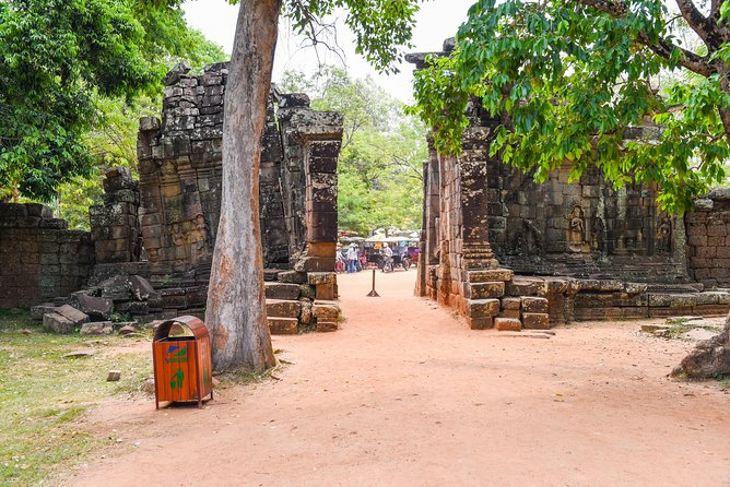 Private Full-Day Angkor Temple and Sunset Viewing with Lunch - Ta Prohm, where the forest takes over